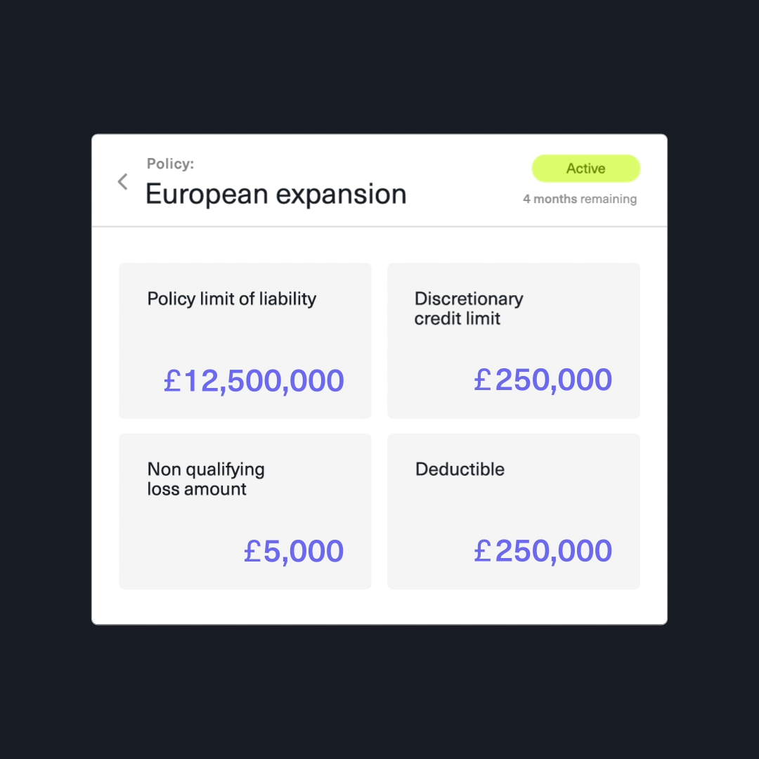 Policy overview still