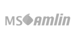Ms amlin